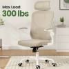 Ergonomic High Back Computer Chair With Armrests and Adjustable Lumbar Support Fast Delivery From US MOQ 1 Unit