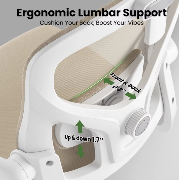 Ergonomic High Back Computer Chair With Armrests and Adjustable Lumbar Support Fast Delivery From US MOQ 1 Unit
